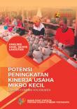 Analyse Of Potential Performance Improvement Of Micro And Small Enterprise Of Daerah Istimewa Yogyakarta