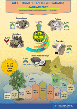 The Farmer Term Of Trade Of DI Yogyakarta, January 2022